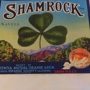 Shamrock Oranges Vtg Large Crate Label